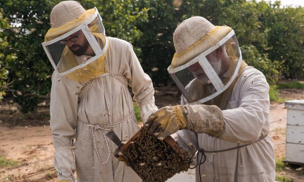 The story behind your Rosh Hashanah honey: How one Galilee family keeps their tradition alive