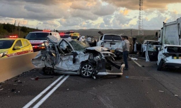 Woman killed, six others injured in a multi-car pile up on coastal Route 2