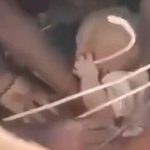 Baby pulled alive from Colombia earthquake rubble as rescue window closes