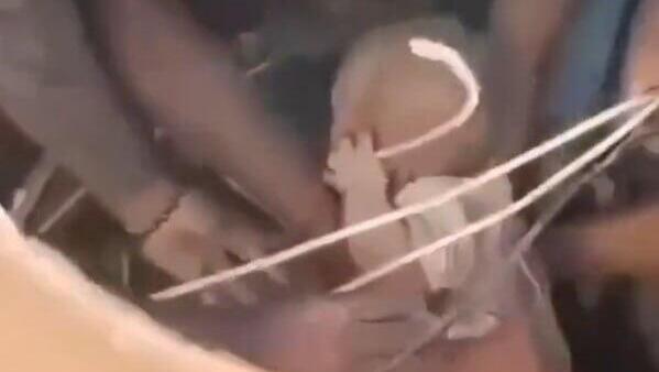 Baby pulled alive from Colombia earthquake rubble as rescue window closes