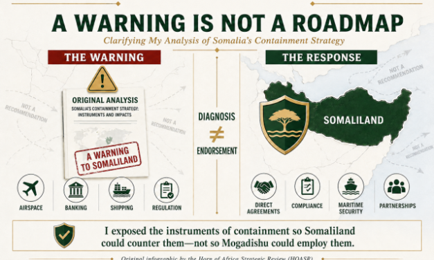 Nassir Hussein Kahin | A Warning, Not a Roadmap: Diagnosis, Not Endorsement