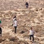 ‘This is ethnic cleansing’: ex-IDF generals warn settler violence is becoming a threat to Israel itself