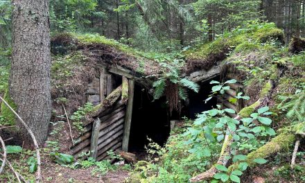 In a forest where Jews fought the Nazis, a German military base and Lithuanian politics encroach on memory