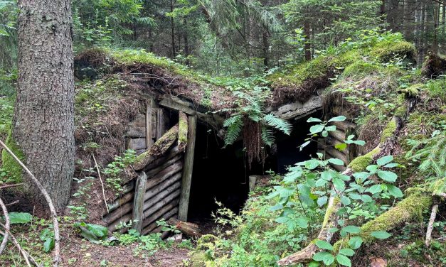 In a forest where Jews fought the Nazis, a German military base and Lithuanian politics encroach on memory