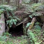 New German military base raises fears for Lithuania’s crumbling Jewish partisan memorial