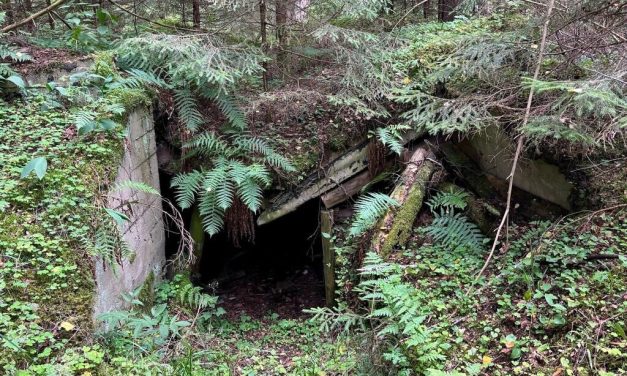 New German military base raises fears for Lithuania’s crumbling Jewish partisan memorial