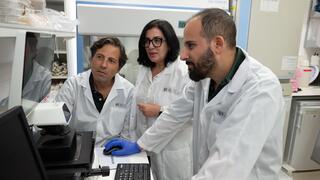 Crohn’s breakthrough? Your gut may never forget inflammation, Israeli scientists find