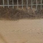 Cut found in Zikim fence near Gaza; IDF launches searches, says no crossing detected