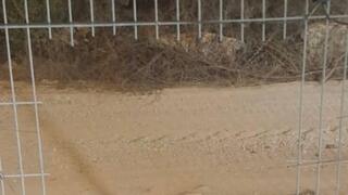 Cut found in Zikim fence near Gaza; IDF launches searches, says no crossing detected