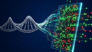 Israeli breakthrough offers hope: Simple blood test could detect lung cancer