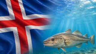 The fish win: Iceland voted in a referendum against joining the European Union