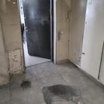 Grenade terror continues: Blast rocks Holon building, devices found in Hadera and Tel Aviv