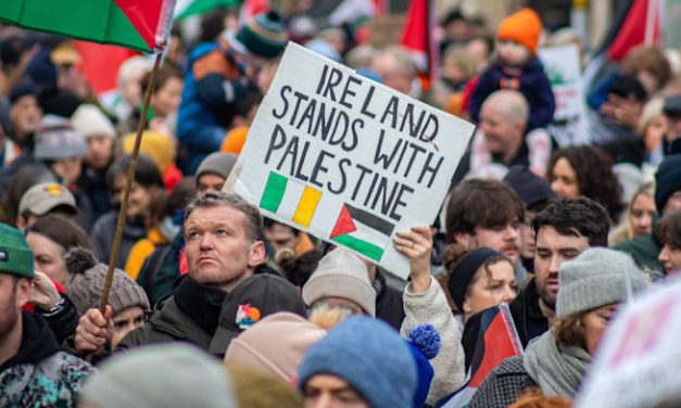 Irish remove Elbit fog landing system from gov’t jet
