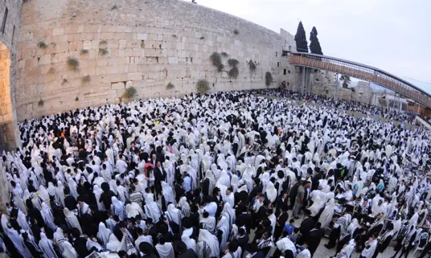 Sukkot together
