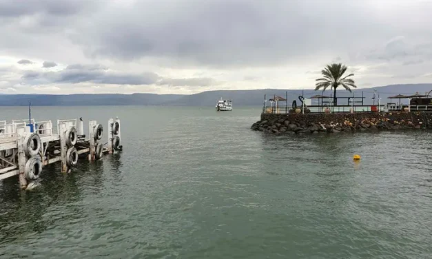 Boy dies after contracting ‘brain-eating’ amoeba in Sea of Galilee