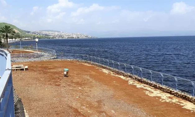 Kinneret: 9-year-old hospitalized in serious condition due to rare amoeba