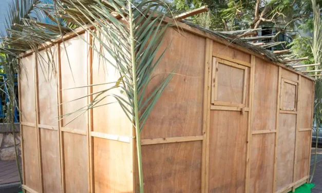 The ‘kol dichfin’ call of Sukkot