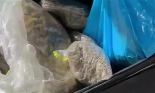 Israeli and Palestinian arrested for drug smuggling on yachts