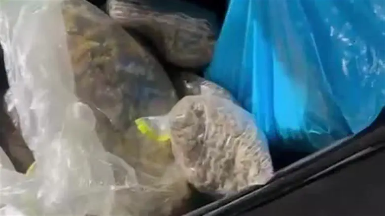 Israeli and Palestinian arrested for drug smuggling on yachts