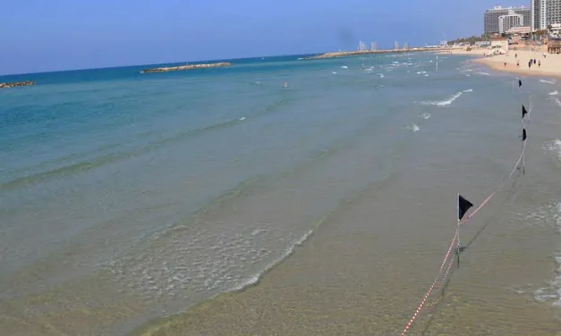 Mysterious contamination disrupts Israel’s desalination plants: ‘A strange event’