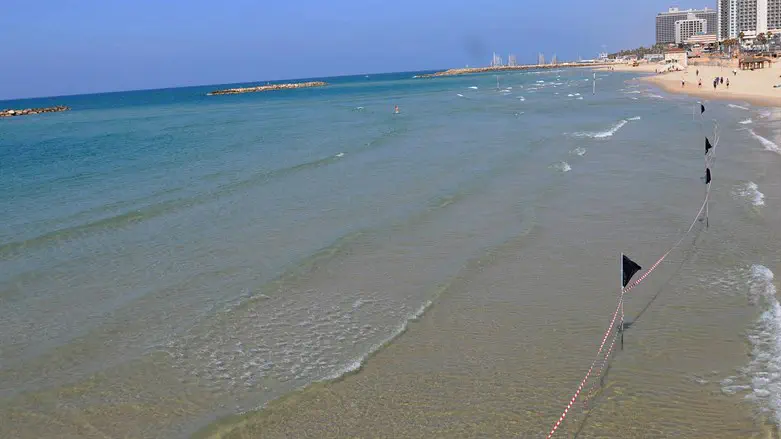 Mysterious contamination disrupts Israel’s desalination plants: ‘A strange event’