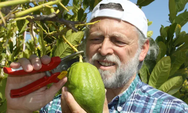 Sukkot – the Four Species: Be an Etrog!