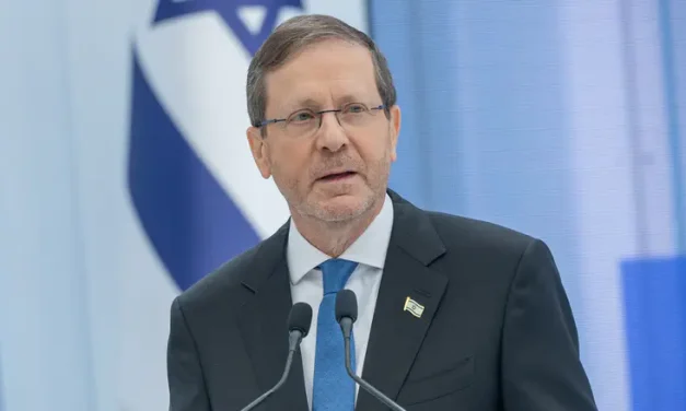 Herzog slams anti-IDF film