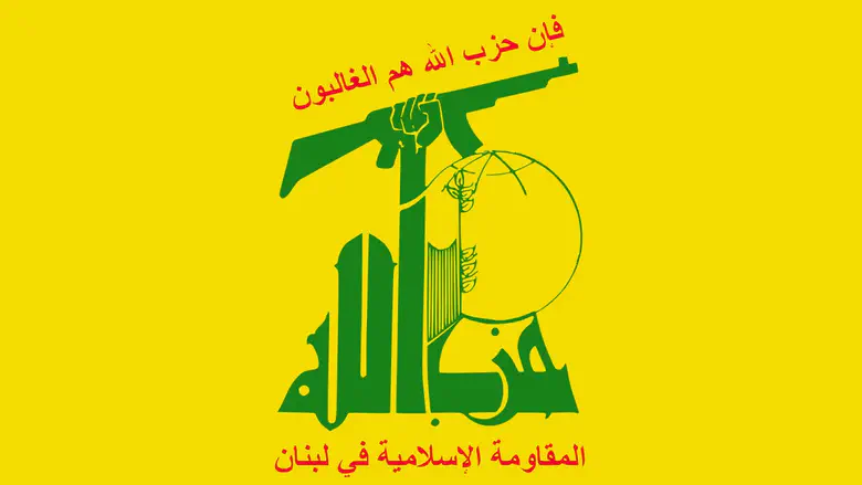 From a large terror army to a decentralized guerilla threat
