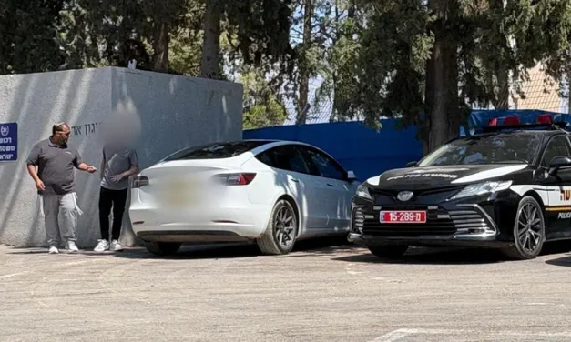 Caught asleep at the wheel of a Tesla: Driver questioned by police