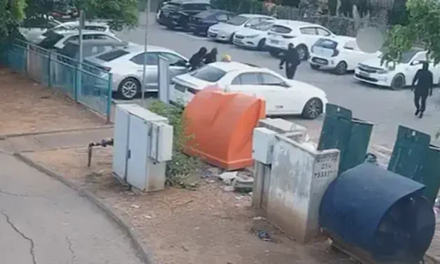 Special delivery: Police catch alleged courier robbers ‘red-handed’
