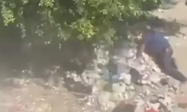 Dramatic arrest: Al Jazeera airs footage of Hamas security chief shot before capture