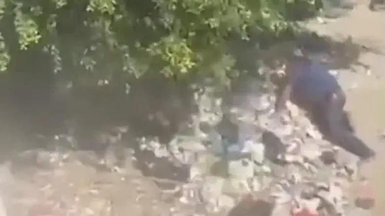 Dramatic arrest: Al Jazeera airs footage of Hamas security chief shot before capture