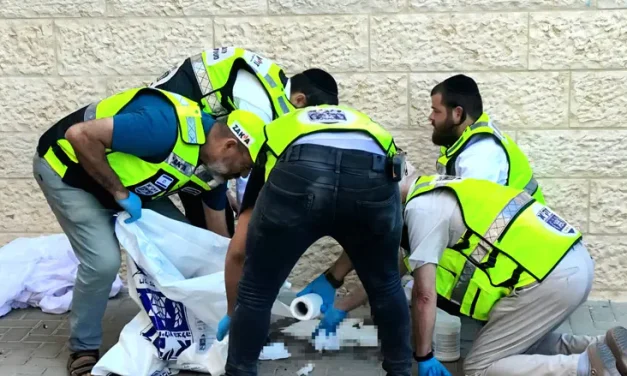 84-year-old killed in tragic balcony fall while building sukkah