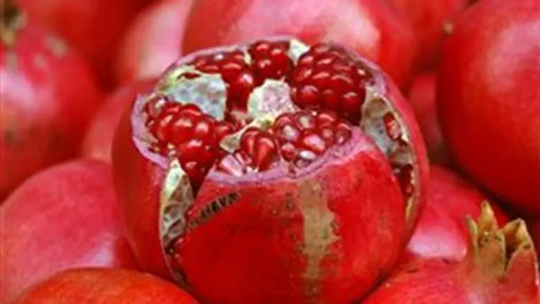 The fruit that never falls alone