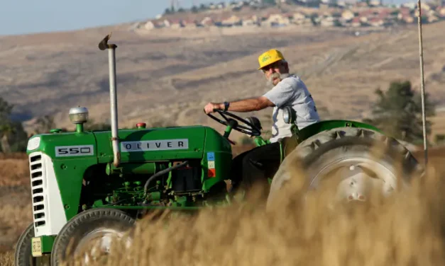 Strong community ties linked to lower mortality risk, Israeli study finds