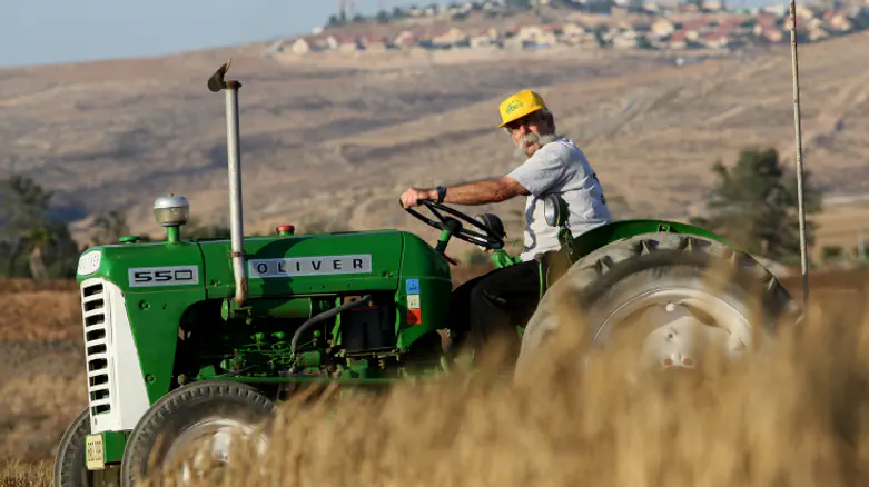Strong community ties linked to lower mortality risk, Israeli study finds