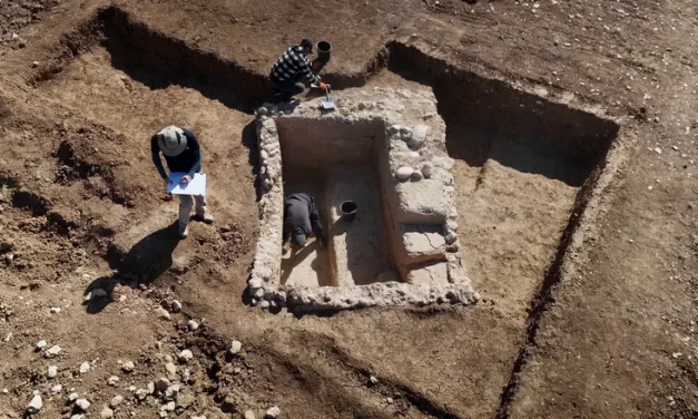 25 tons of history: In southern Israel, a 2,000-year-old mikveh is extracted intact