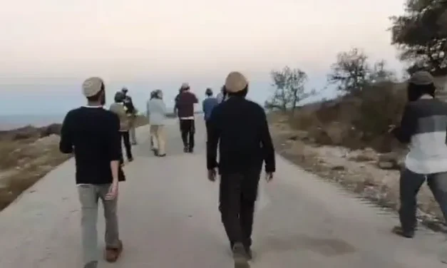Activists cross the border into Syria, cause IDF to respond