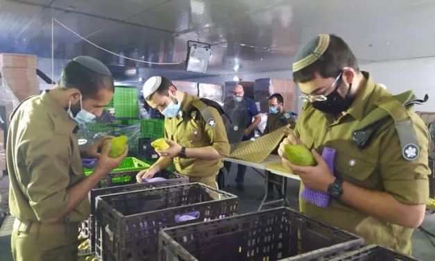 The hidden message of the Etrog