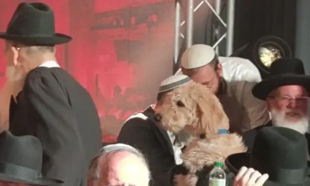 ‘Torah that listens to broken hearts’: Dog joins Torah giants at Sukkot event