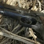 Watch: Police dog finds hidden gun near Arab city