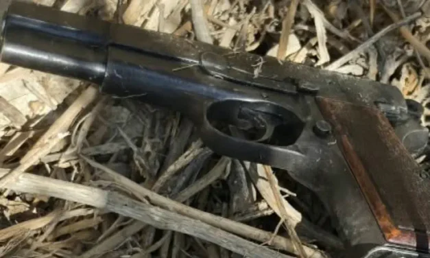 Watch: Police dog finds hidden gun near Arab city