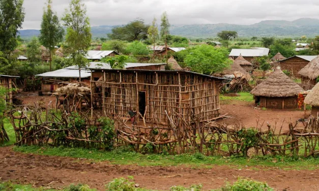 After three days: Israelis stranded in Ethiopia rescued