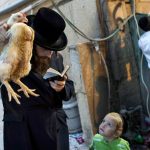 Six Israeli cities ban live chickens for Yom Kippur kapparot, animal rights org. urges more to join