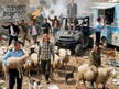 Delinquent chic: Settlement body sues fashion brand tying it to West Bank violence