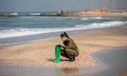 ‘Sponge of the sea’: Israeli researchers develop aerogel that captures, breaks down oil spills