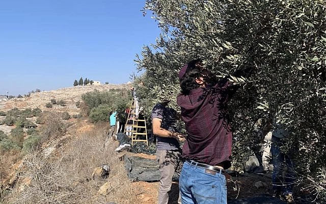 Maria Golovanevskaya | Denying settler violence does not make us better allies to Israel