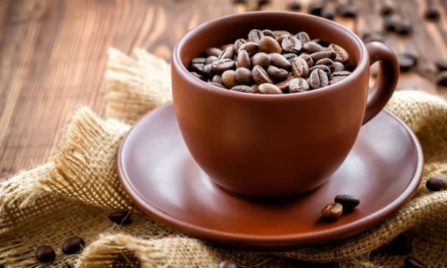 Best mold-free organic coffee