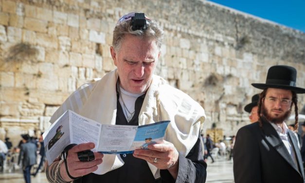 Michael Rapaport to star in Comedy for Koby Sukkot tour