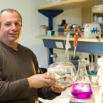 Ahead of Rosh Hashanah, Israeli scientists find carp can resist a deadly virus